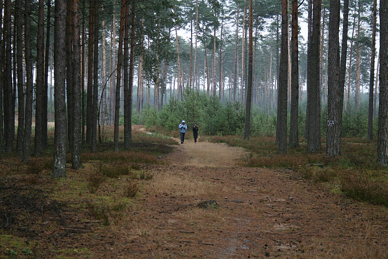 Rostoczek 11.2008 022